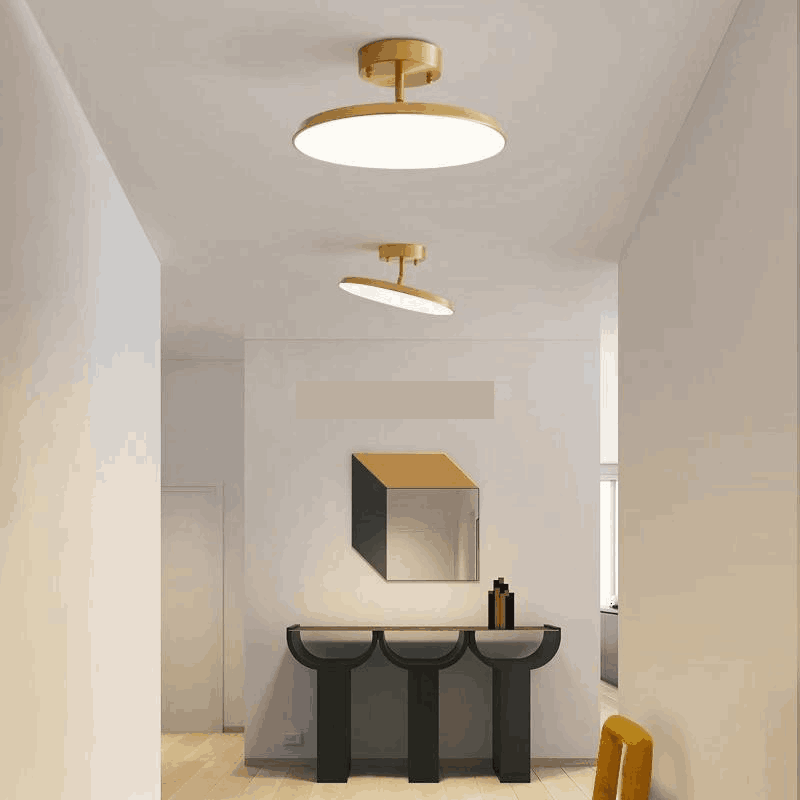 Modern Round LED Ceiling Light – Adjustable Rotating Fixture for Hallways, Bathrooms or Reading Corners