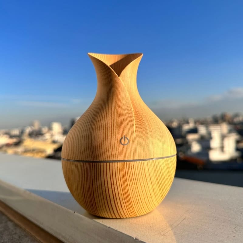 Air Humidifier & Essential Oil Diffuser