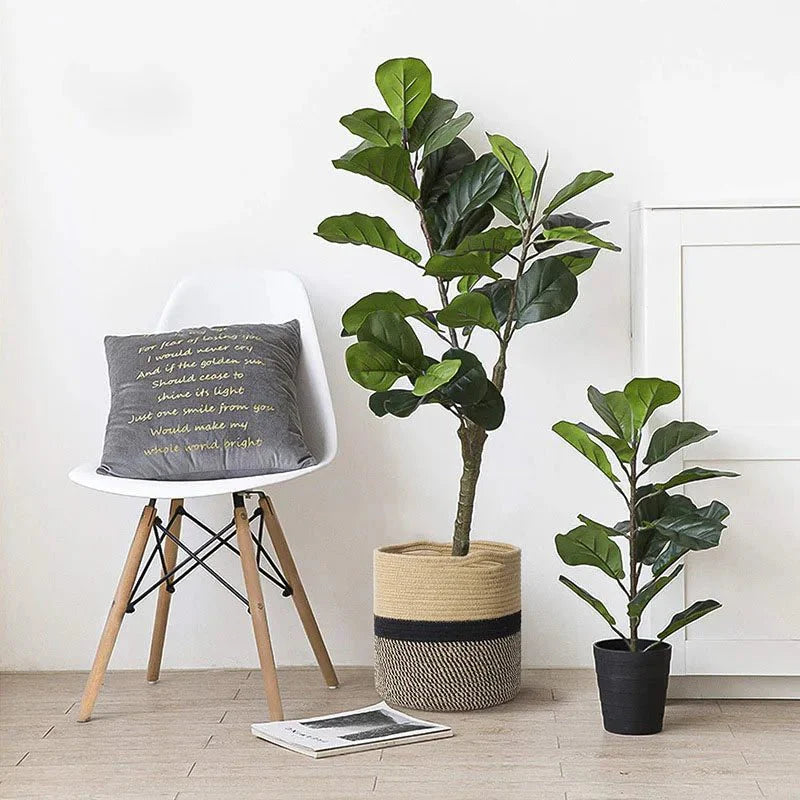 Decorative Fabric Plant Pot – Cotton Rope