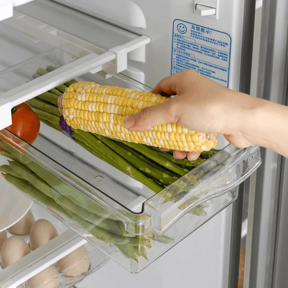 Refrigerator Storage Drawer Organizer – Fresh Food & Space Saver