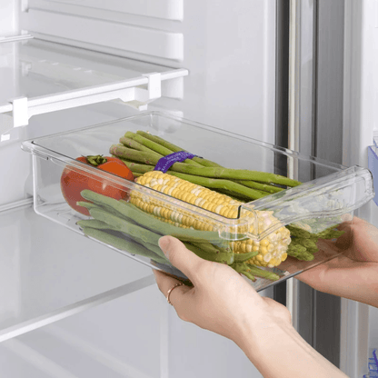 Refrigerator Storage Drawer Organizer – Fresh Food & Space Saver